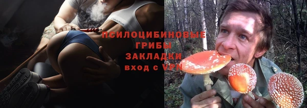 дурь Коряжма