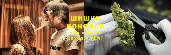 PSILOCYBIN Кулебаки