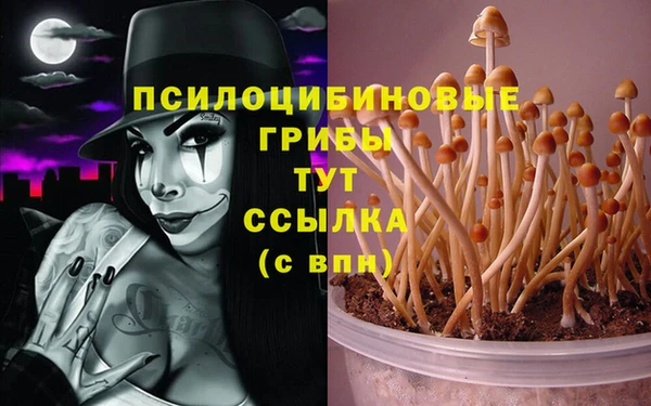 PSILOCYBIN Кулебаки