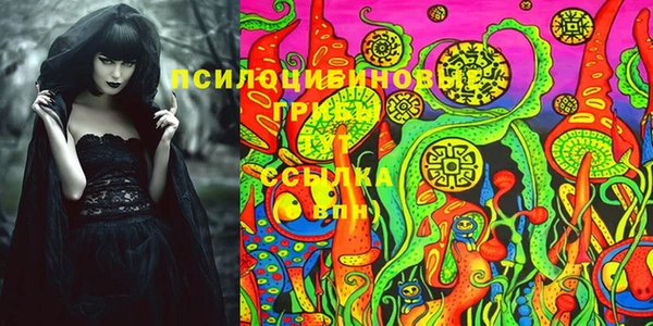 mdpv Костерёво