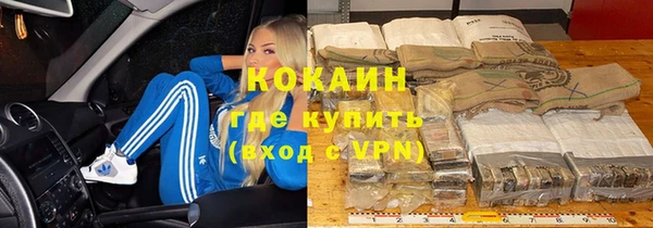 PSILOCYBIN Кулебаки