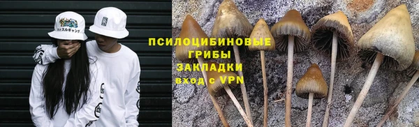 mdpv Куйбышев