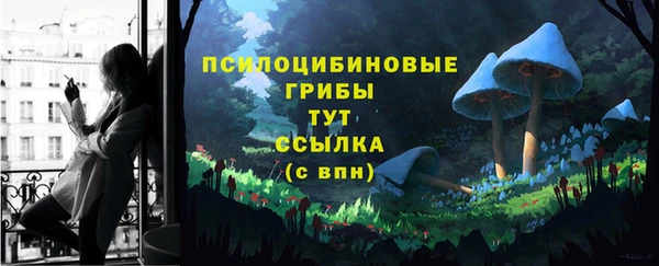 mdpv Куйбышев