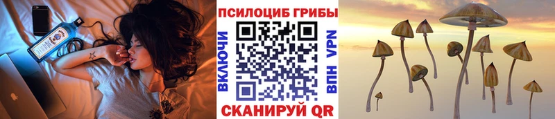 купить наркотики цена  Старая Русса  ОМГ ОМГ маркетплейс  Галлюциногенные грибы Magic Shrooms 