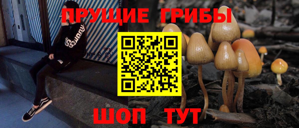 Псилоцибиновые грибы прущие грибы  Вход с VPN  Галлюциногенные грибы Cubensis  Старая Русса 